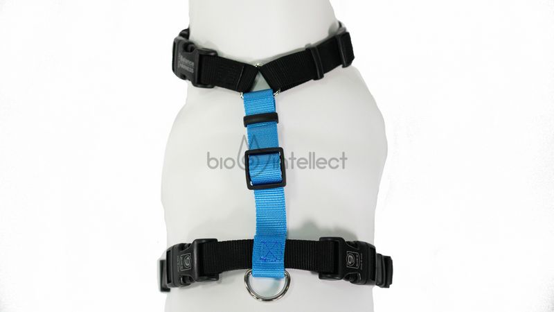 Анатомічні шлейки Blue-9 Balance Harness L
